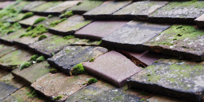 Meinciau roof repair costs
